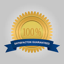 Senior Devloper Best Award